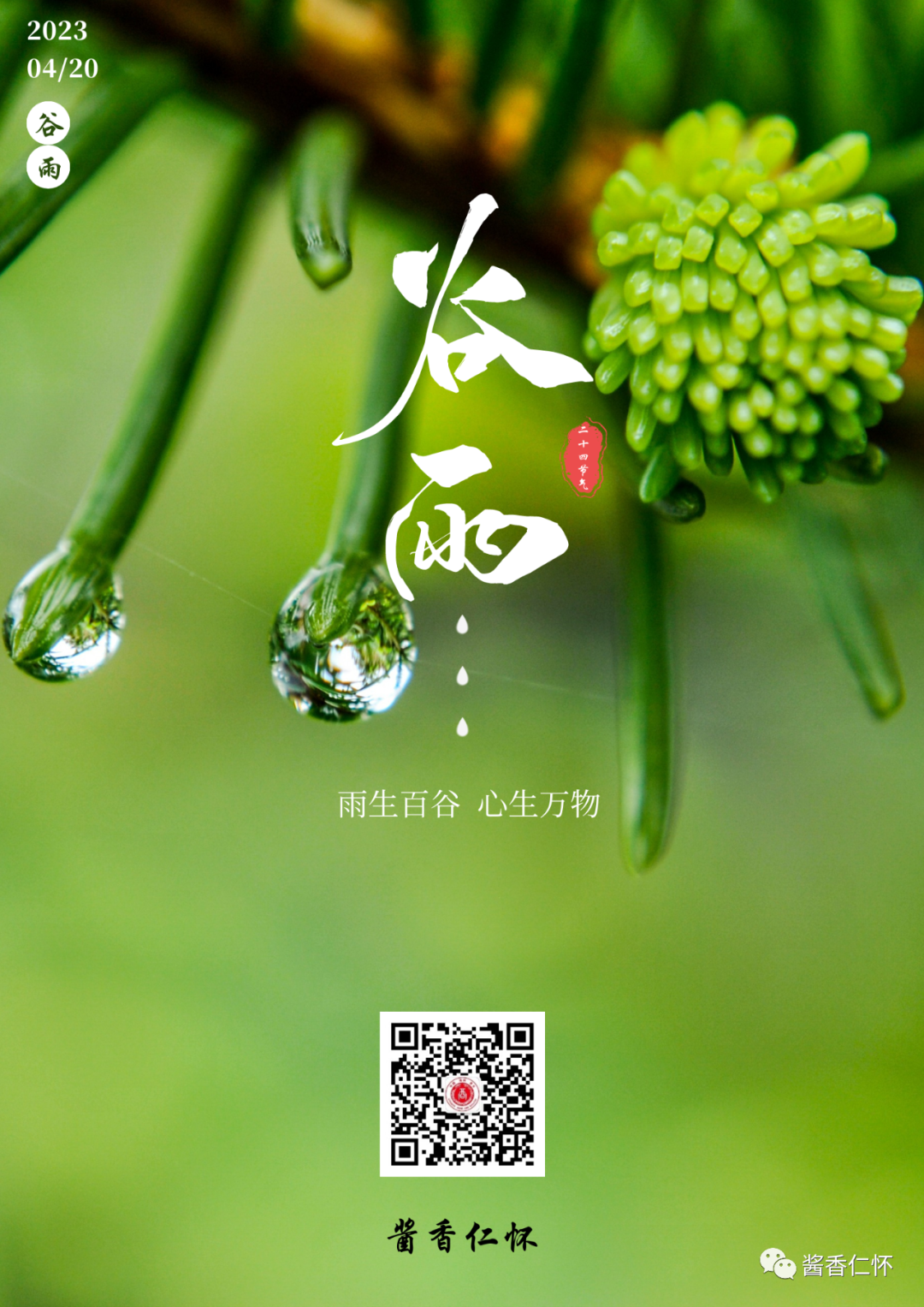 今日谷雨:雨生百谷芳菲暖,云烟轻卷草木摇-酒通社