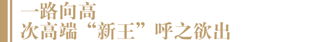 化身春糖顶流,年份原浆·古20如何做到?-酒通社