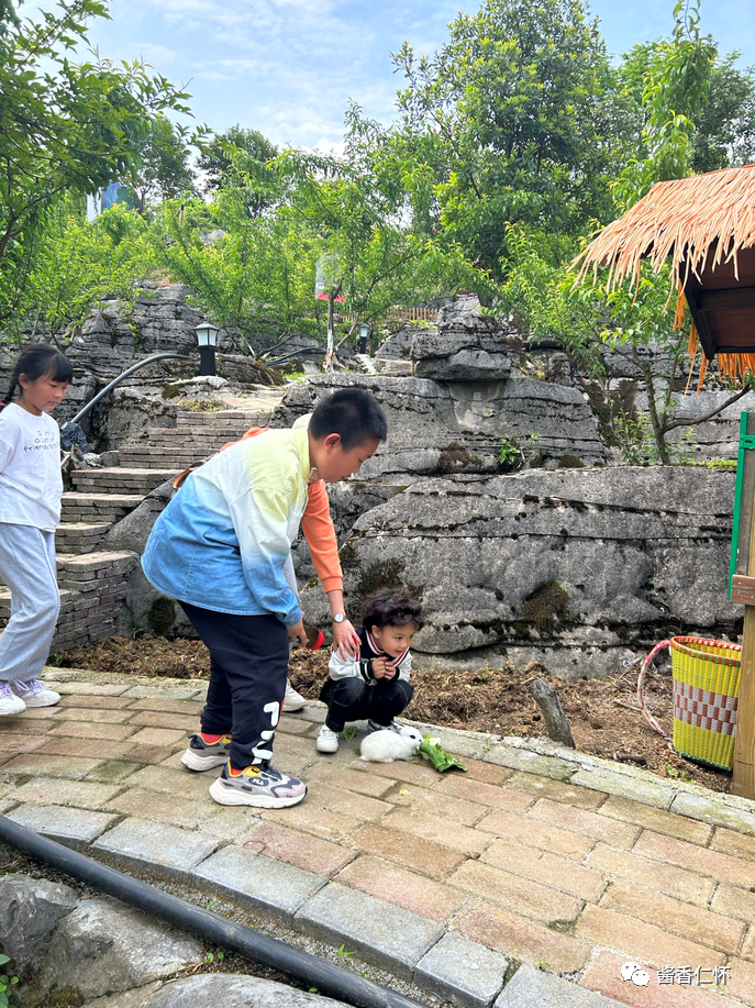 这个“五一”,仁怀累计接待游客56.28万人次-酒通社