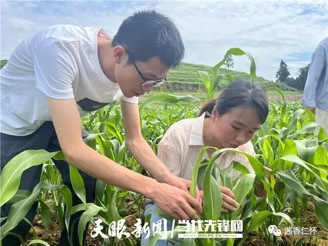 仁怀：科技特派员为乡村振兴赋能添智-酒通社