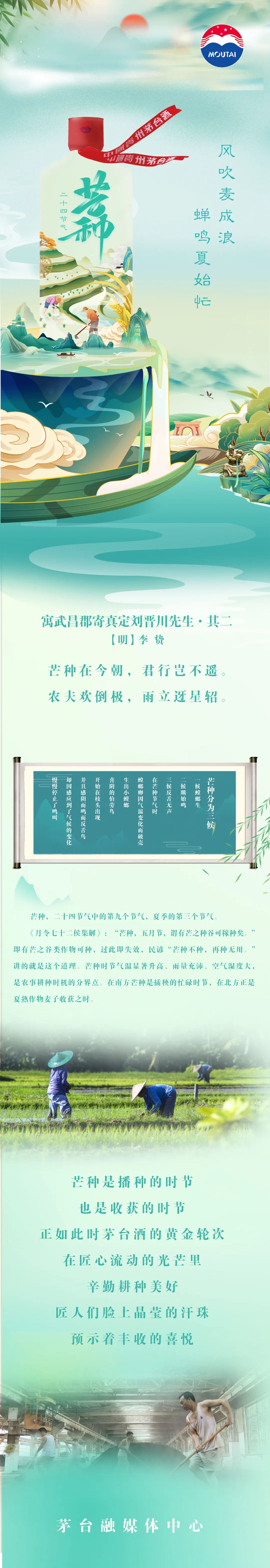 二十四节气 | 芒种：风吹麦成浪 蝉鸣夏始忙-酒通社