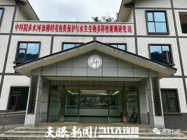 一江赤水 两岸青山 三省共护-酒通社