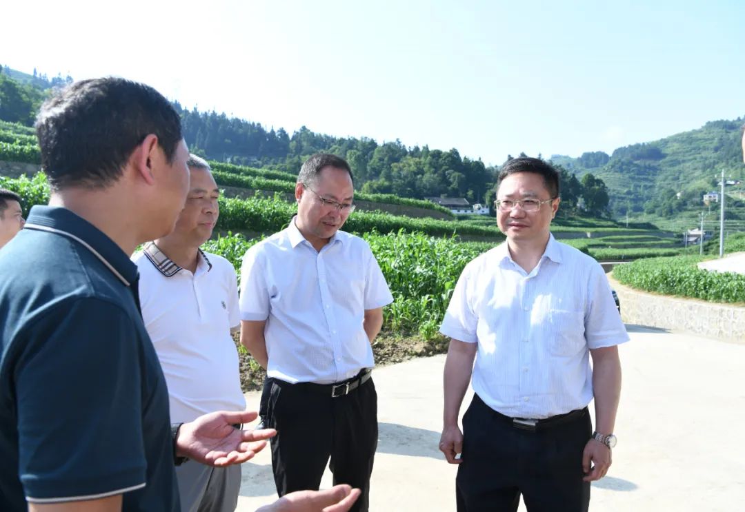 黄伟到仁怀市开展督导调研-酒通社