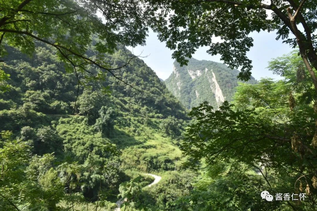 【寻仁迹】盐津河峡谷上的引水动力渠 助茅台酒扩产-酒通社