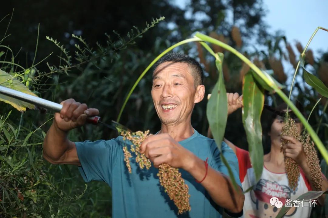 万光明:高粱入仓仪式上的粱农代表-酒通社
