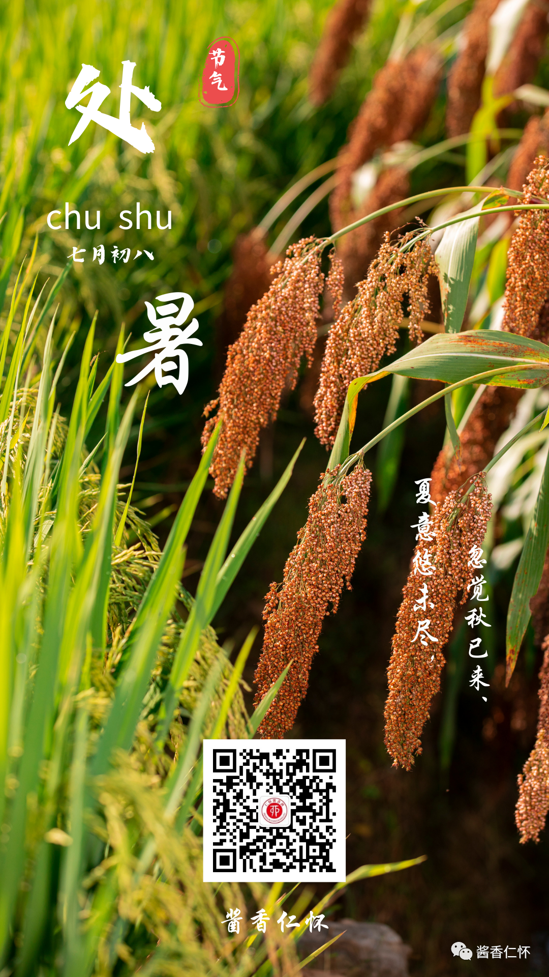 今日处暑|未觉夏已尽,时至已新秋-酒通社