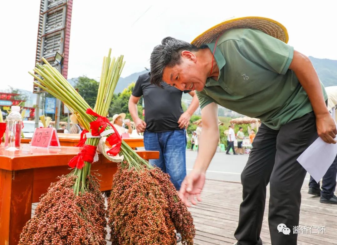 雷文权:36载钻研成果 汇成一首《高粱生产二十四节气气候农事歌》-酒通社