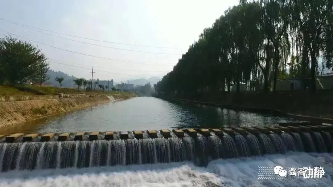 仁怀市绿水青山引来“金凤凰”-酒通社