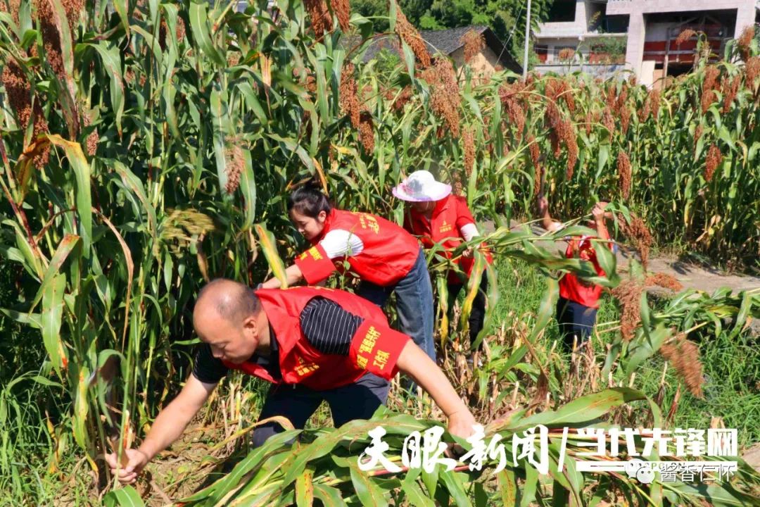 仁怀市:深挖“仁怀红”品牌 推进产区协调发展-酒通社