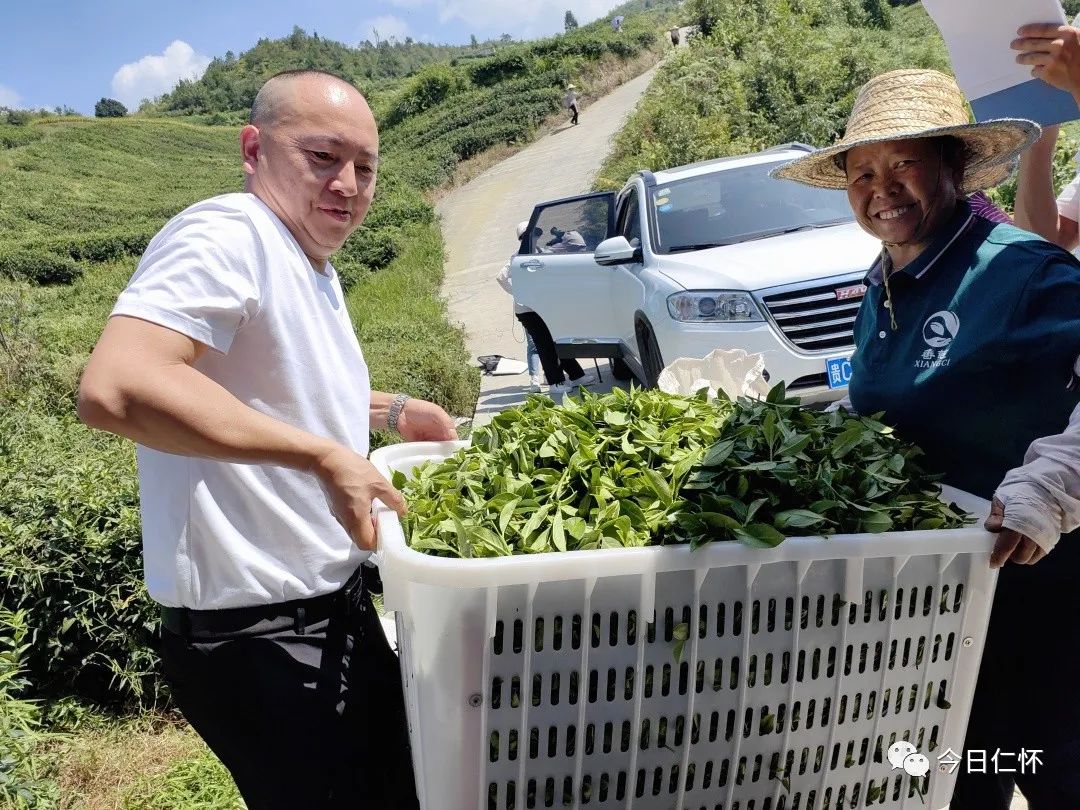 九仓万亩香慈秋茶上市啦！-酒通社