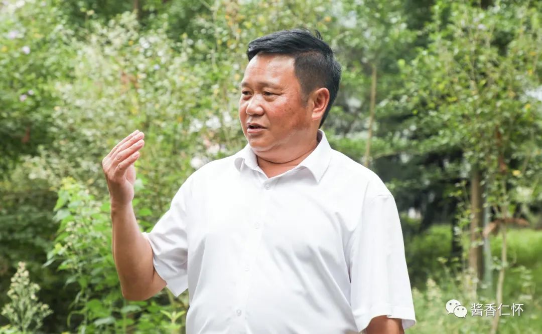 【寻仁迹】七百岁“杉王杉后” 见证乡村爱情故事-酒通社
